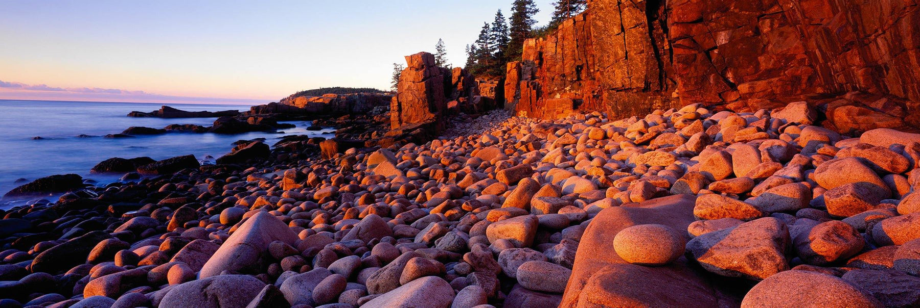 Rock beach at low tide next to a forest cliff at Acadia National Park Maine during sunrise