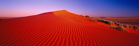 Orange sand dune in the Desert of Northern Territory Australia under a pink and purple sky