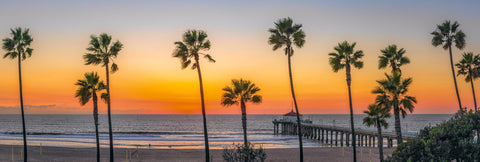 Line of palm trees in front of a pier with an orange glowing horizon at sunset 