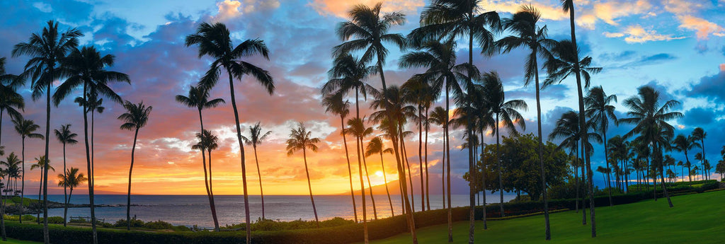 Pacific Nights. Fine Art Photograph by Peter Lik.