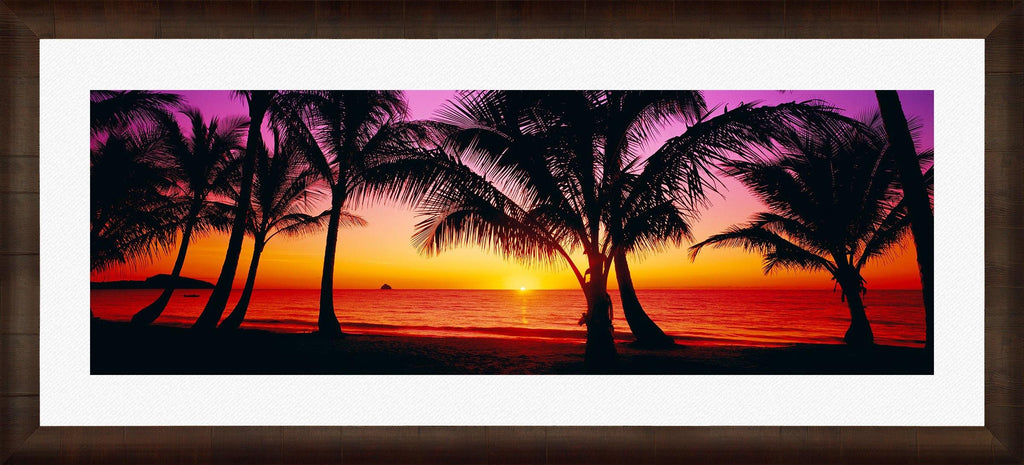 Palm Cove Sunrise. Fine Art Photograph by Peter Lik.