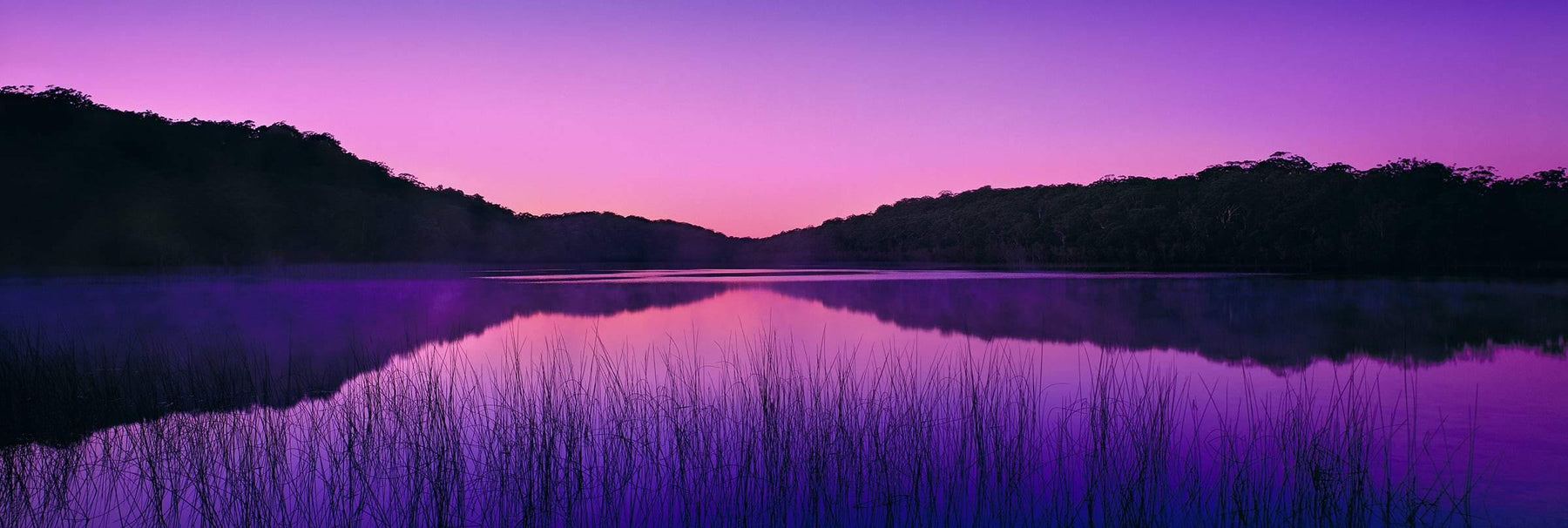 Reeds in the foreground of Lake McKenzie Australia surrounded by brush covered hills during a pink and purple sunrise
