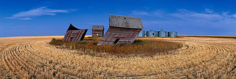 Abandoned windblown old barns and silos in a cut wheat field in Saskatchewan Canada