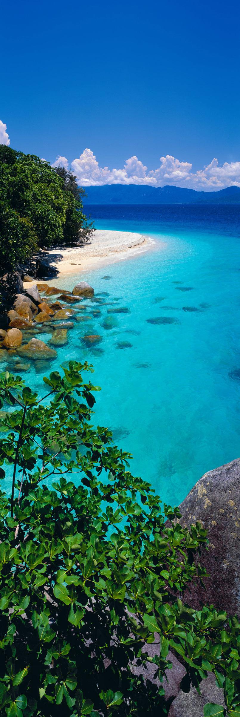 Foliage on the edge of a rock ledge looking down at the white sand beach of Fitzroy Island Australia