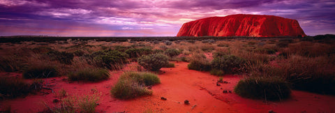 Sunset at Uluru Rock in the Northern Territory desert of Australia