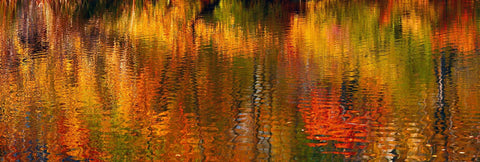 Close up of reflections of the Autumn colored trees on a pond in Central Park New York