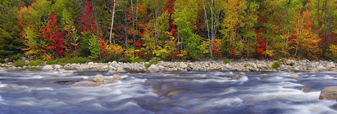 River flowing over rocks in front of a forest with some Autumn colors in White Mountain National Forest New Hampshire 