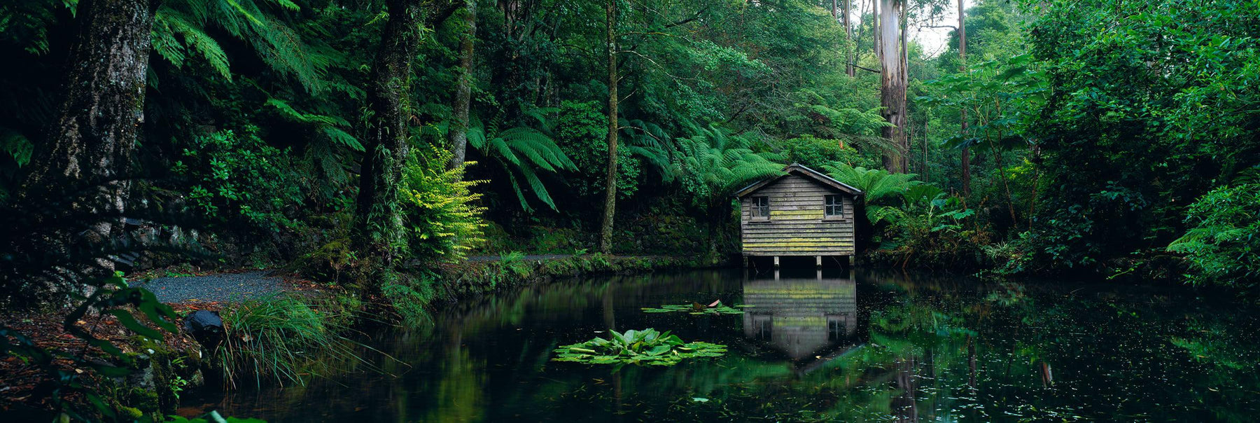 House on a pond in a tropical rainforest in Dandenong Mountain Ranges of Australia