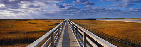 Wooden pier reaching over the grass marshlands along the coast of Cape Cod Massachusetts