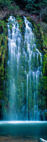 Mossbrae waterfall flowing into the Sacramento River in the Shasta Cascade area in Dunsmuir California
