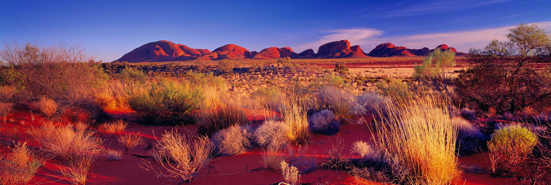Brush filled desert with the stone formations of Kata Tjuta National Park Australia in the background