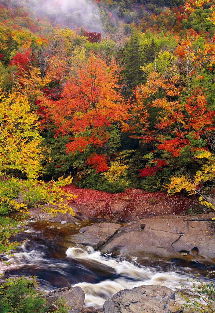 Swift River Mist. Fine Art Photograph by Peter Lik.