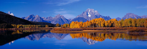 Autumn colored forest reflecting into the Snake River with the Grand Teton Mountains in the background