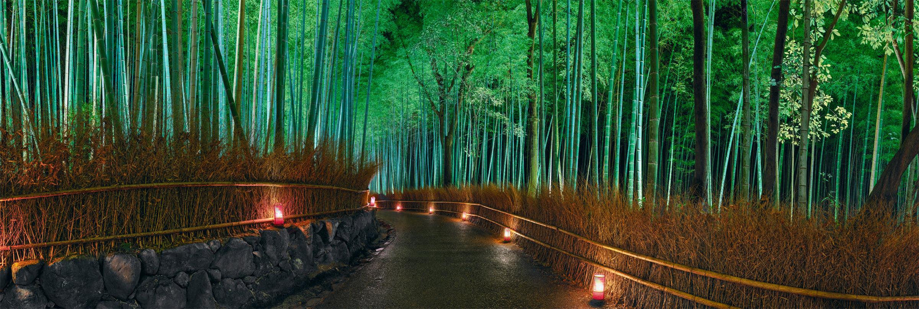 Path lined by a yellow grass fence leading through a green bamboo forest lit up at night by lanterns in Kyoto Japan
