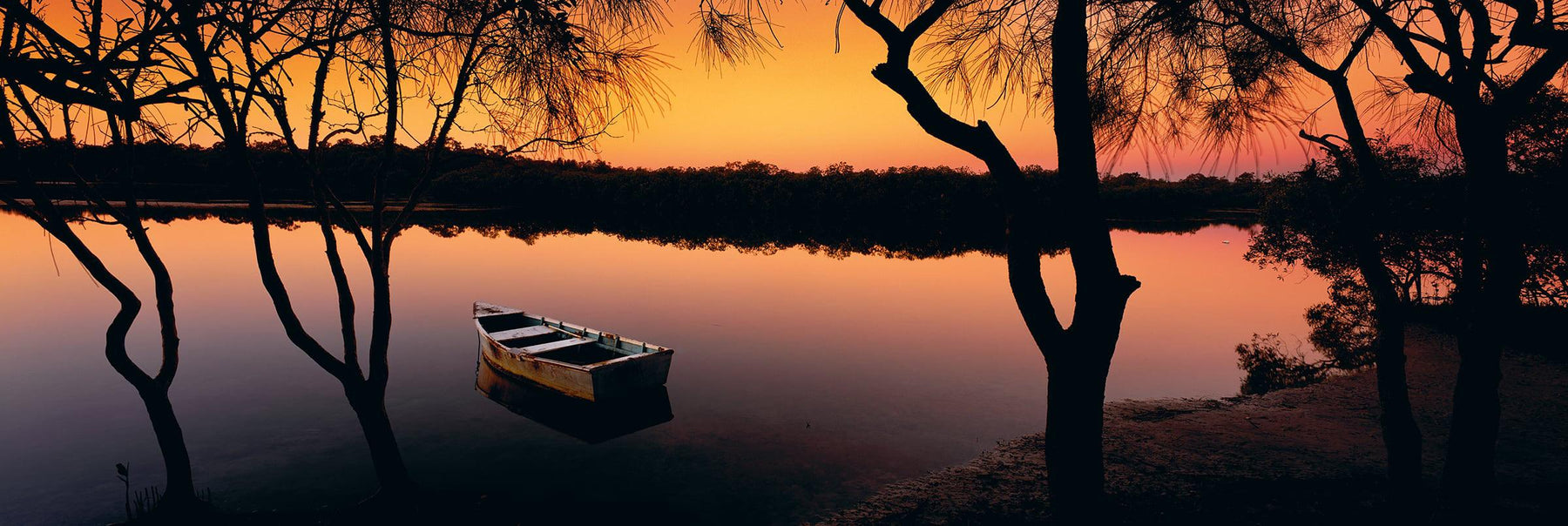 Old wooden row boat in between trees on the bank floating in the Noosa River of Australia at sunrise