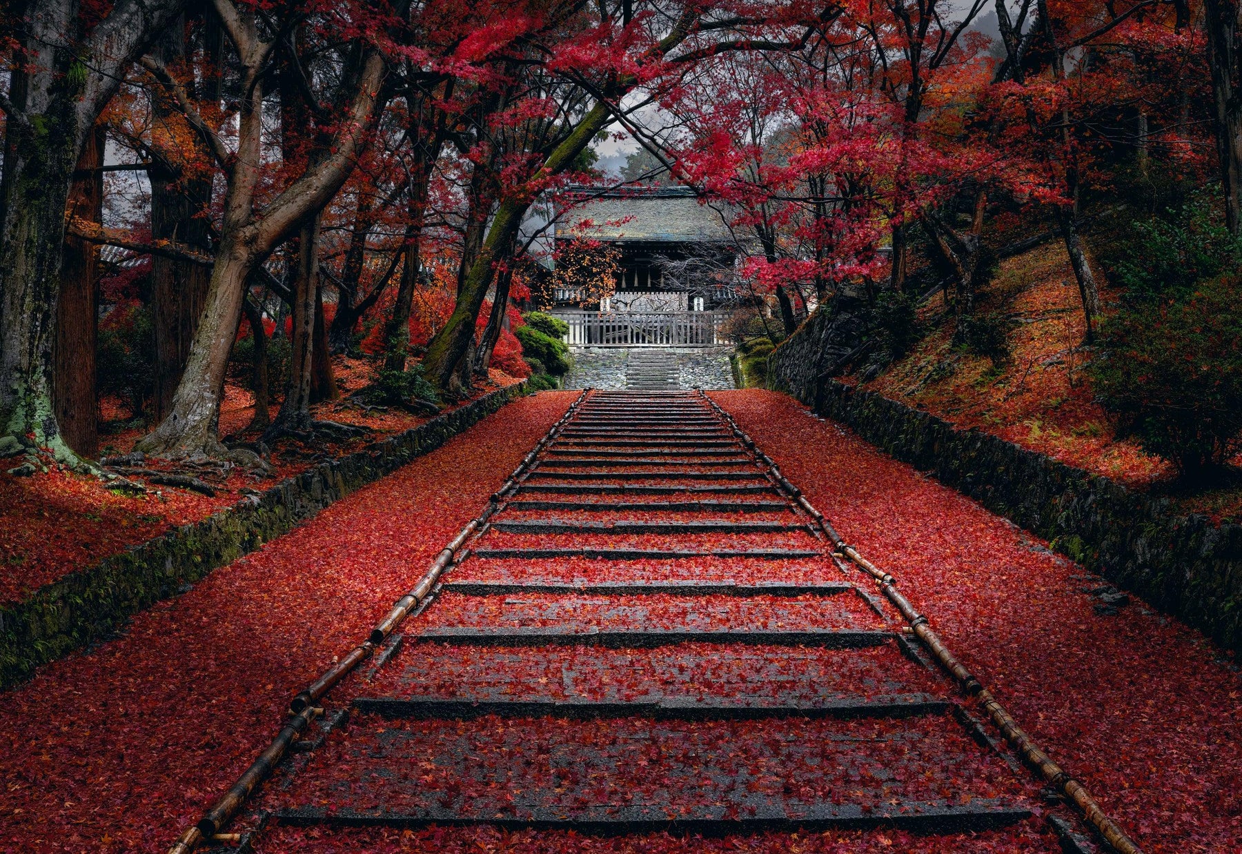 Stone path with red leaves surrounded by Autumn trees leading up to a Temple