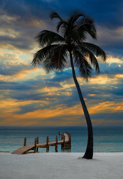 Peter-Lik-Tropical-Dream-