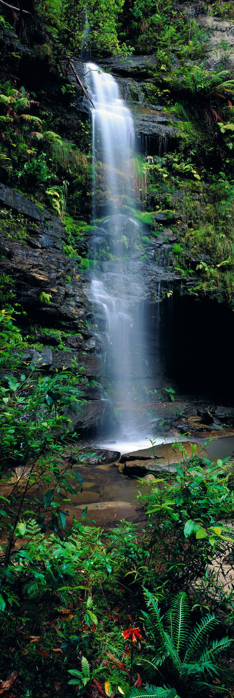 Tropical waterfall pouring into a river in the Blue Mountains National Park