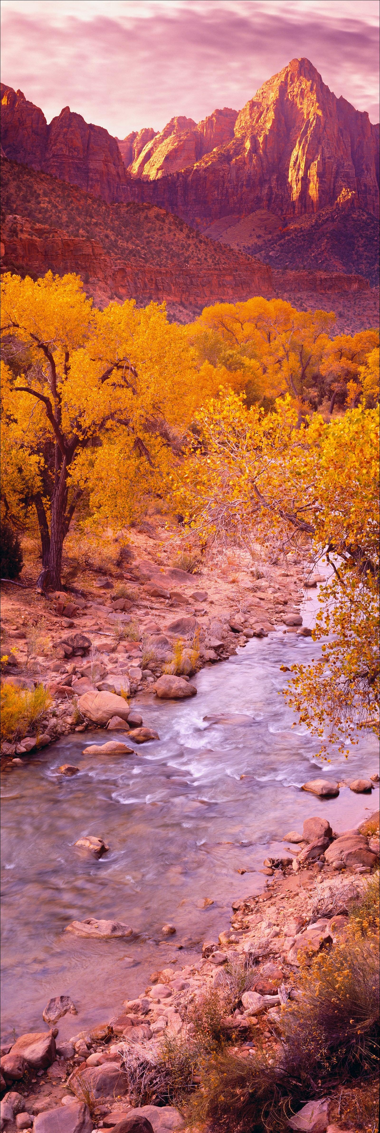 Virgin River running through tree filled rocky terrain with the mountains of Zion National Park Utah behind