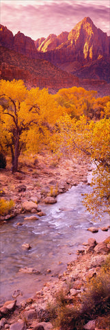 Virgin River running through tree filled rocky terrain with the mountains of Zion National Park Utah behind