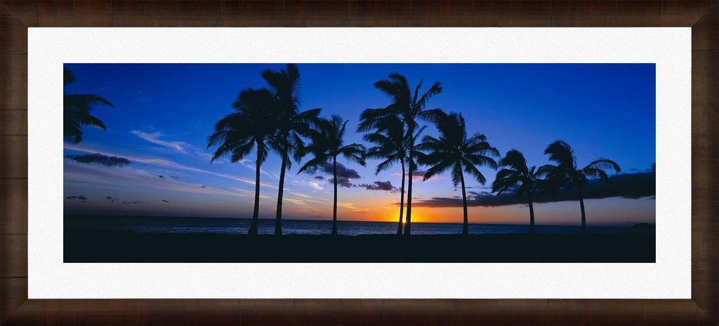 Waikiki Palms. Fine Art Photograph by Peter Lik.