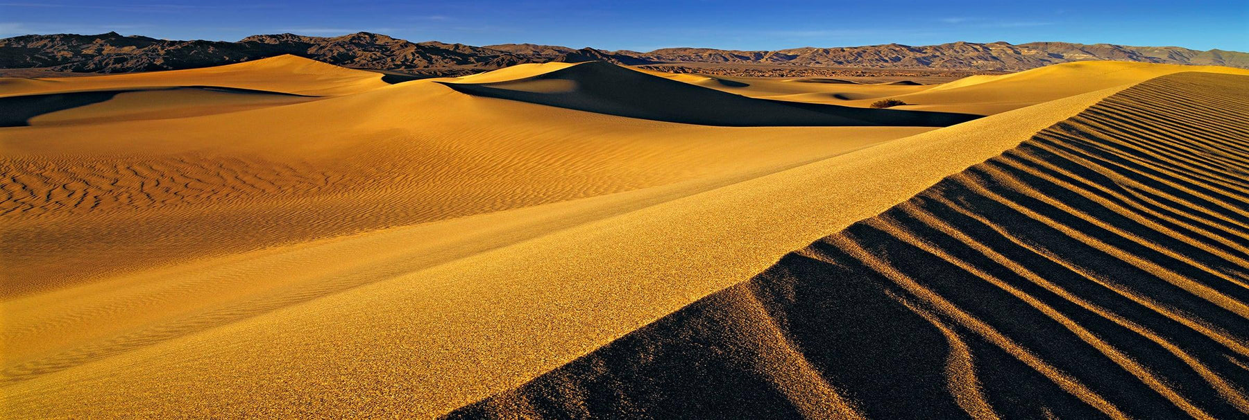 Yellow windswept sand dunes in front of the rock hills of Death Valley California
